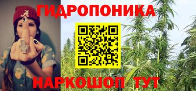 jwh Ставрополь