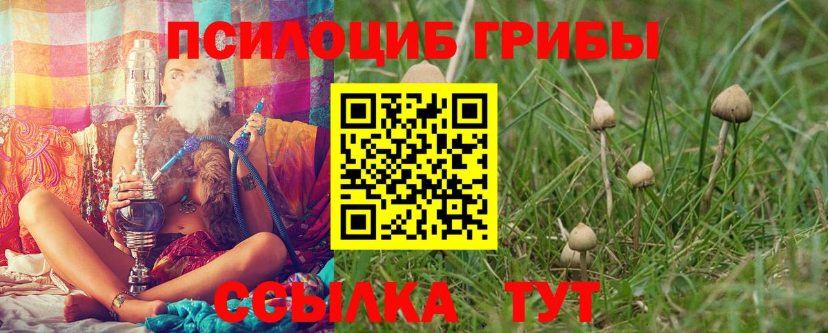 Псилоцибиновые грибы мухоморы Белгород