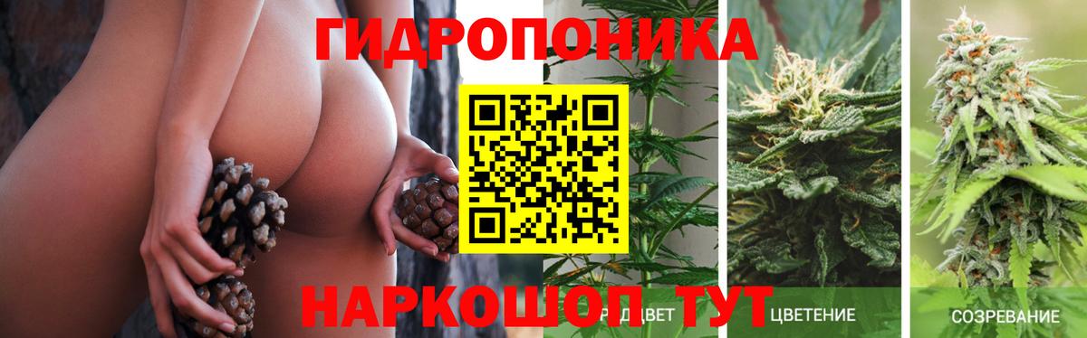 Бошки Шишки OG Kush  Бошки марихуана Amnesia  Белгород  Вход с VPN 